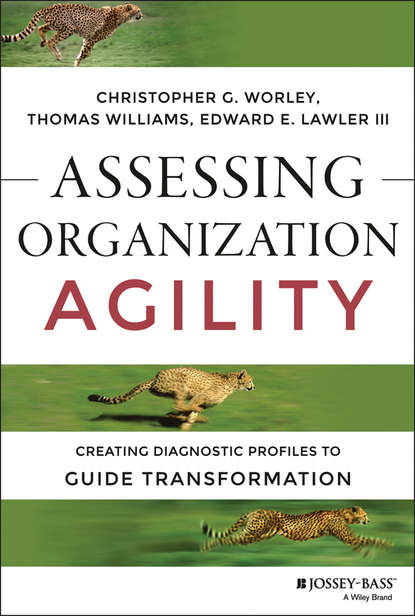 Assessing Organization Agility