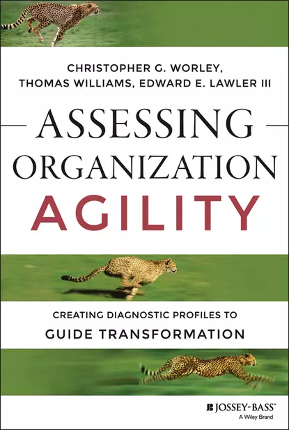 Обложка книги Assessing Organization Agility, Edward E. Lawler, III