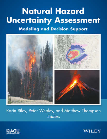 Группа авторов — Natural Hazard Uncertainty Assessment