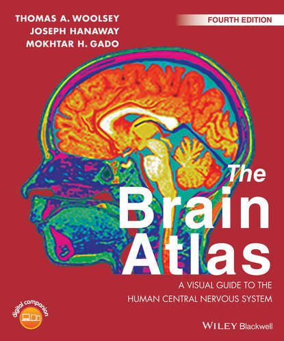 The Brain Atlas - Thomas A. Woolsey