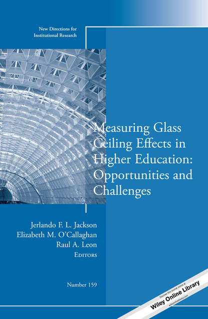 

Measuring Glass Ceiling Effects in Higher Education: Opportunities and Challenges