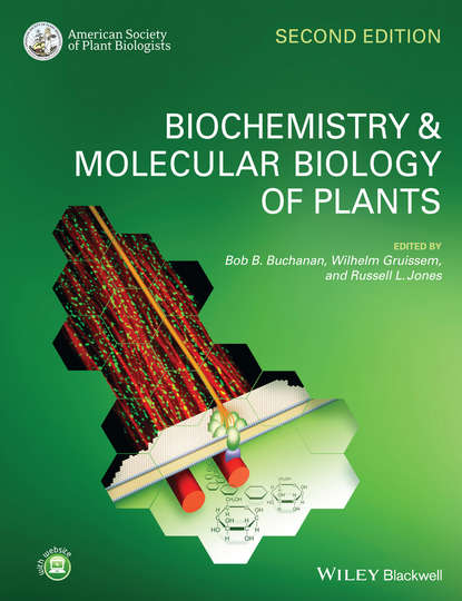 Группа авторов - Biochemistry and Molecular Biology of Plants