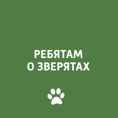 

Осень в природе