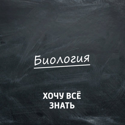 

Биология. Как устроен мозг. Часть 2. Как научить мозг учиться