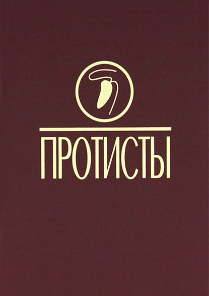 Коллектив авторов - Протисты: Руководство по зоологии. Ч. 3