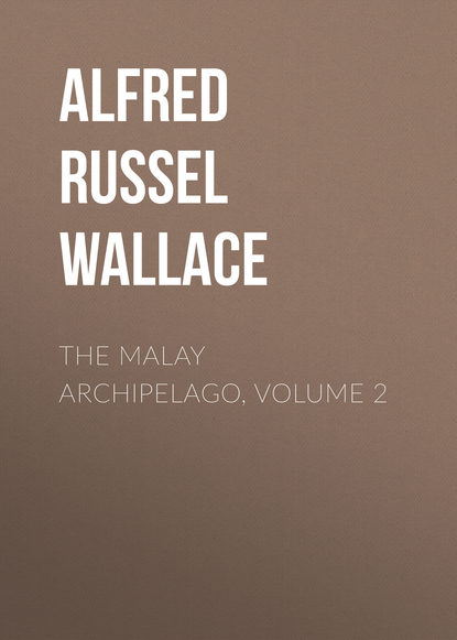 Alfred Russel Wallace — The Malay Archipelago, Volume 2