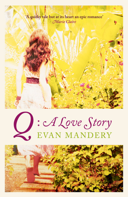 Q: A Love Story (Evan  Mandery). 