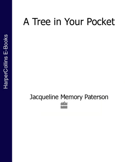 Jacqueline Paterson Memory - A Tree in Your Pocket