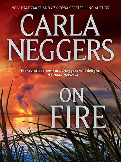 Carla Neggers - On Fire