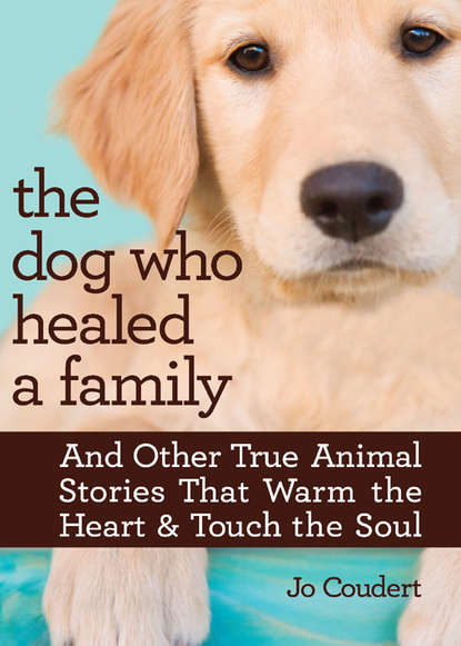 Jo Coudert — The Dog Who Healed A Family