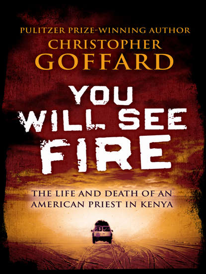 You Will See Fire (Christopher  Goffard). 