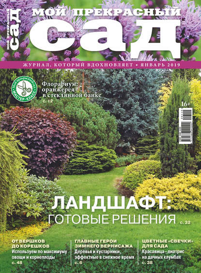 Озеленение, ландшафтный дизайн в Барнауле