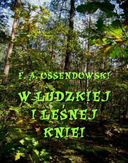 Ferdynand Antoni Ossendowski - W ludzkiej i leśnej kniei