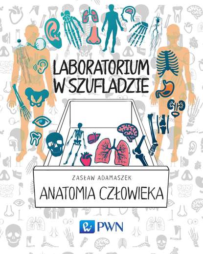 Zasław Adamaszek - Laboratorium w szufladzie. Anatomia człowieka