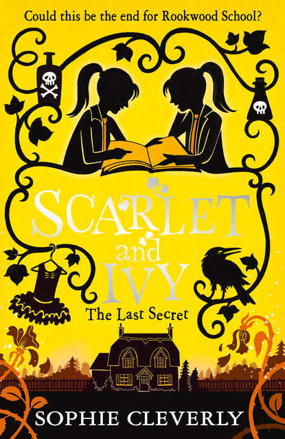 Sophie  Cleverly - The Last Secret