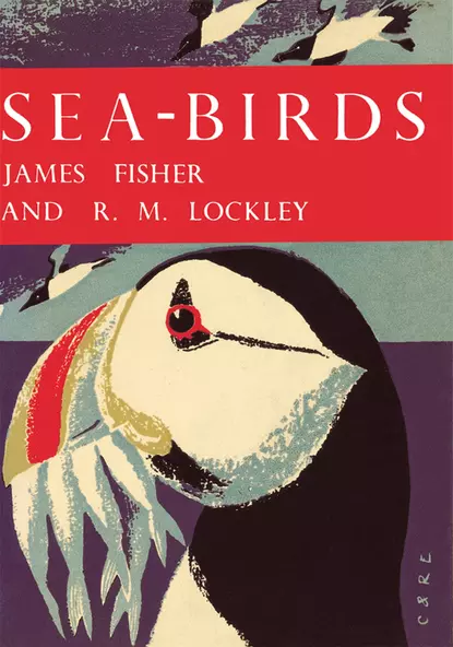 Обложка книги Sea-Birds, James  Fisher