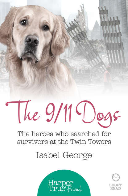 The 9/11 Dogs: The heroes who searched for survivors at Ground Zero