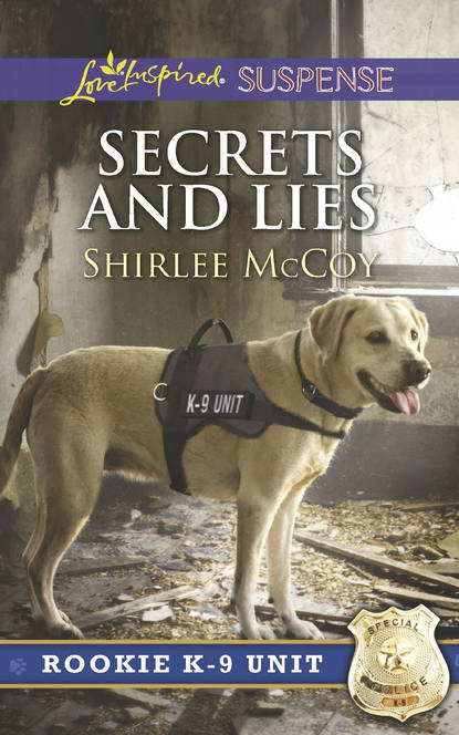 Secrets And Lies (Shirlee  McCoy). 