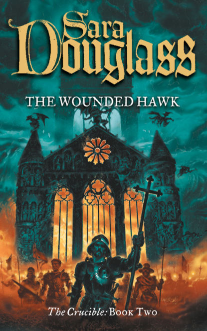 The Wounded Hawk (Sara  Douglass). 
