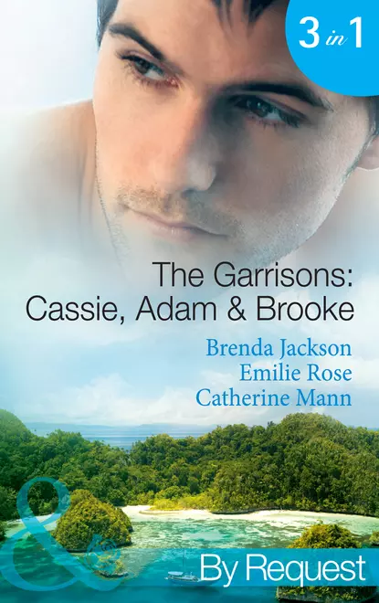 Обложка книги The Garrisons: Cassie, Adam & Brooke: Stranded with the Tempting Stranger, Brenda Jackson