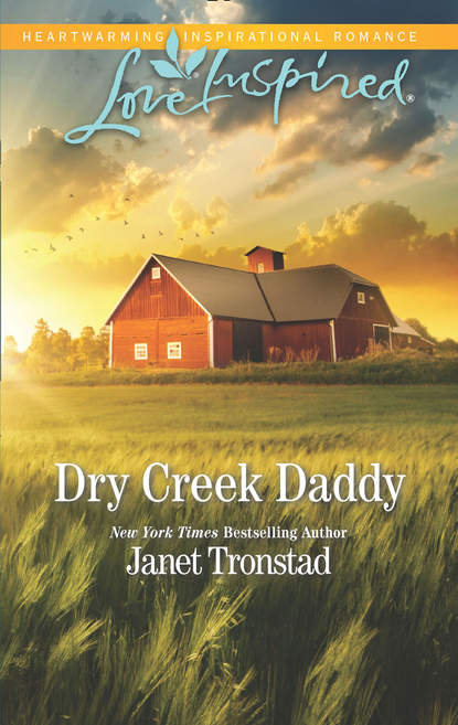 Janet  Tronstad - Dry Creek Daddy