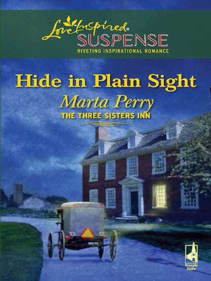 Hide in Plain Sight (Marta  Perry). 