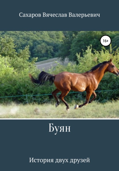

Буян
