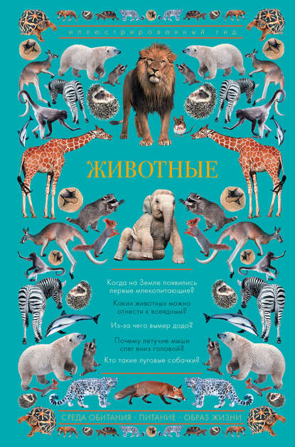 Анастасия Чудова - Животные. Иллюстрированный гид