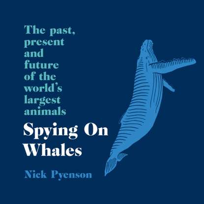 Ксюша Ангел - Spying on Whales