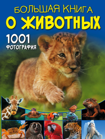 Д. И. Ермакович - Большая книга о животных. 1001 фотография