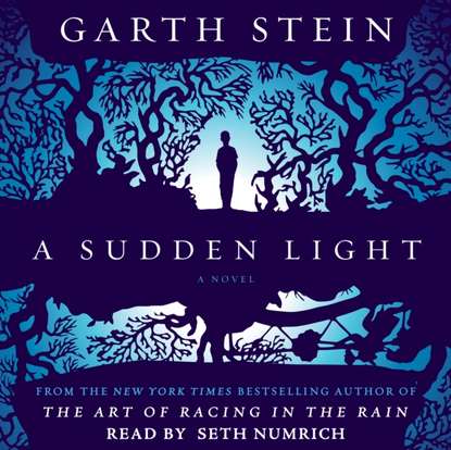 Garth  Stein - Sudden Light