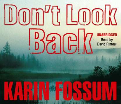 Karin Fossum — Don't Look Back