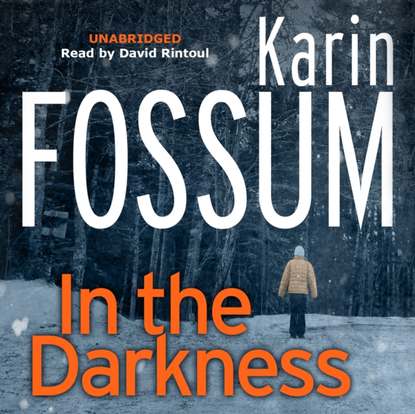 Karin Fossum — In the Darkness