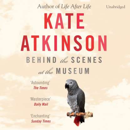 Кейт Аткинсон — Behind The Scenes At The Museum