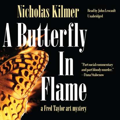 Nicholas Kilmer — Butterfly in Flame