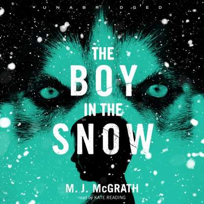 M. J. McGrath — Boy in the Snow