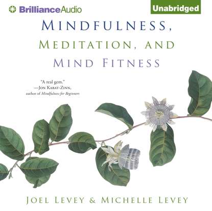 Joel Levey — Mindfulness, Meditation, and Mind Fitness