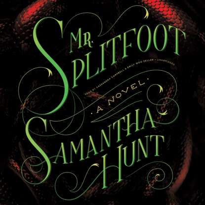 

Mr. Splitfoot