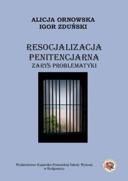 Igor Zduński - Resocjalizacja penitencjarna. Zarys problematyki