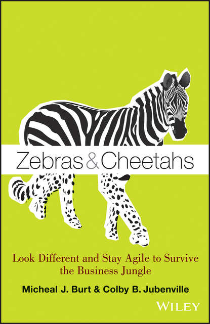 Micheal Burt J. - Zebras and Cheetahs