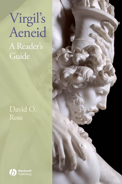 Группа авторов - Virgil's Aeneid