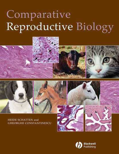 Heide  Schatten - Comparative Reproductive Biology