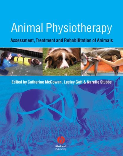 Catherine  McGowan - Animal Physiotherapy