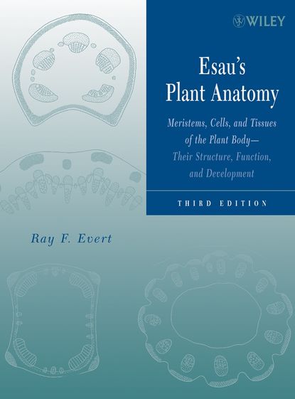 Esau's Plant Anatomy (Ray Evert F.). 