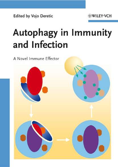 Vojo  Deretic - Autophagy in Immunity and Infection