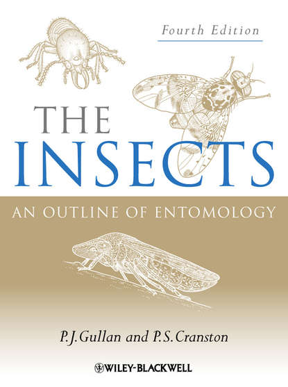 P. Gullan J. - The Insects