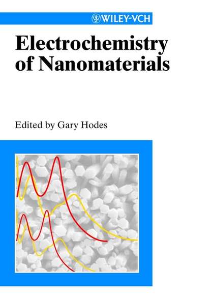 Electrochemistry of Nanomaterials - Gary  Hodes