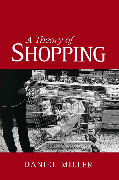 Daniel  Miller - A Theory of Shopping