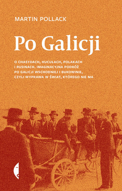 Martin Pollack - Po Galicji