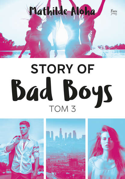 

Story of Bad Boys 3